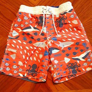 Gap Surf Shop - Baby Gap Swim trunks size 4 years